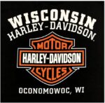 Harley-Davidson Men’s Custom Freedom pic 1